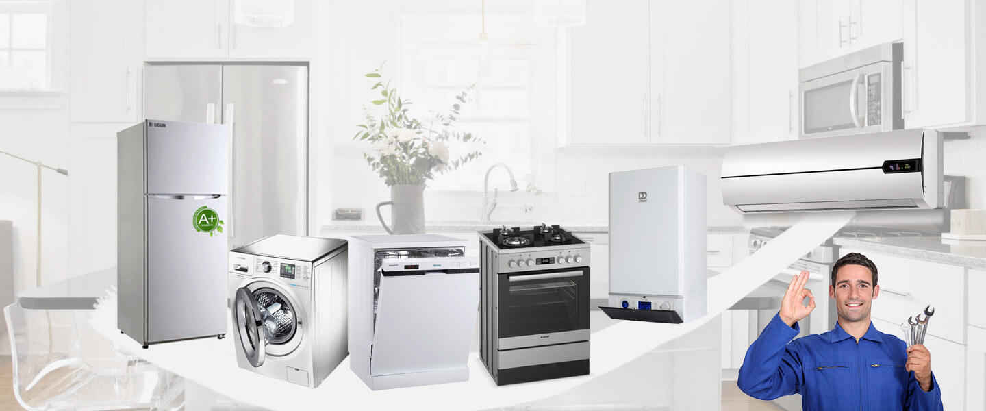 Ayvacık Electrolux Servisi